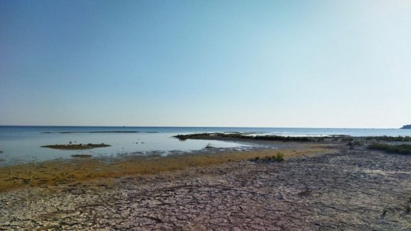 «Это не пляж, это - болото». Что будут делать с илом на побережье Актау