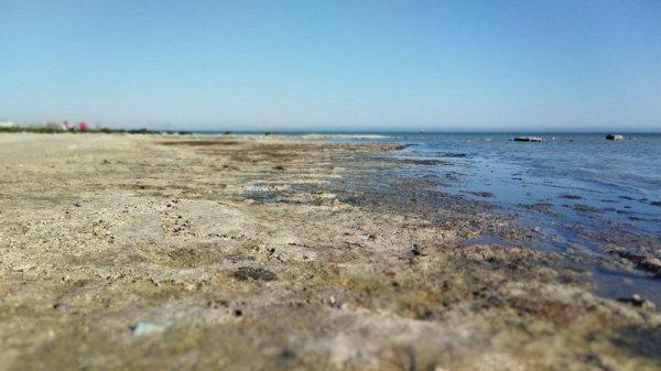 «Это не пляж, это - болото». Что будут делать с илом на побережье Актау
