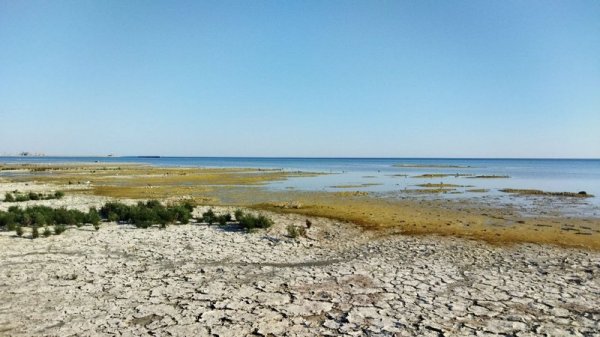 «Это не пляж, это - болото». Что будут делать с илом на побережье Актау