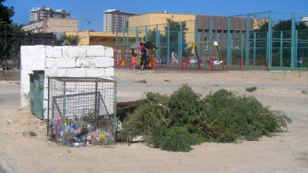 Озеленители или уничтожители? Зачем в Актау вырывают всю траву