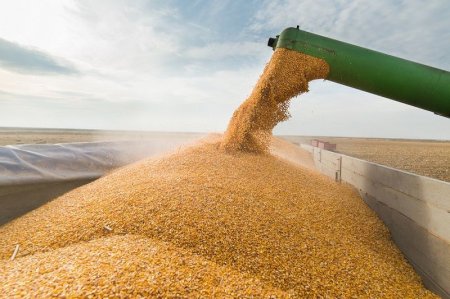 США обещают помогать экспорту российского продовольствия, если Москва вернется к зерновой сделке  