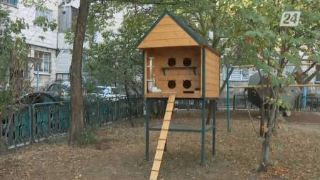 В Алматы установили новый домик с подогревом для уличных кошек 