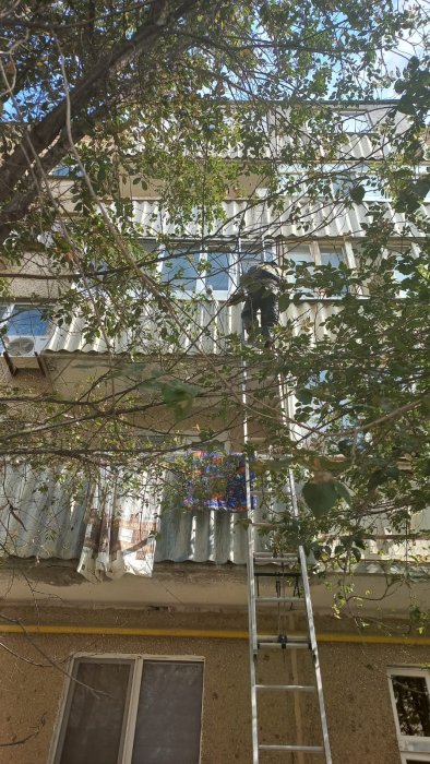 Ящерицу и семерых детей вызволили из запертых квартир спасатели Мангистау