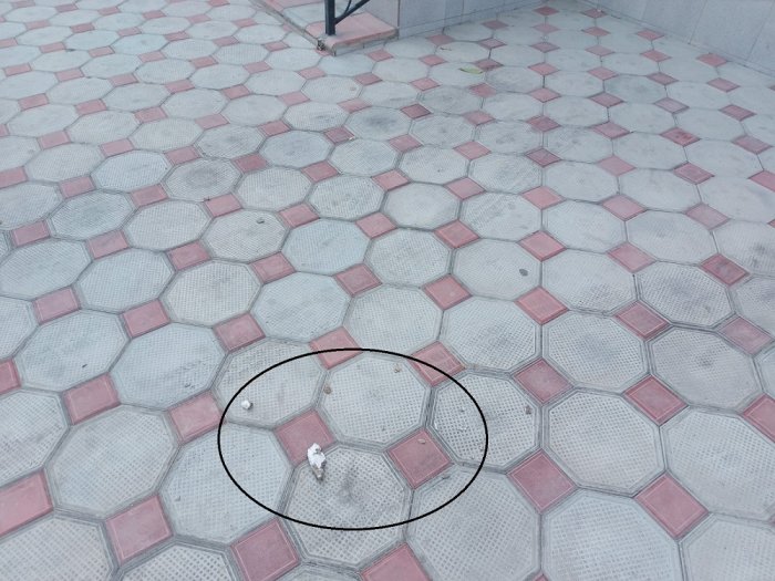 «Камни падают на голову»: жители одного из домов в Актау пожаловались на рассыпающуюся крышу