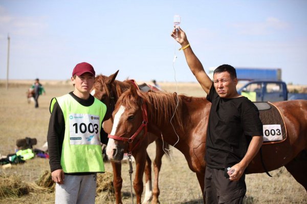 Мангистауские всадники стали лучшими на II этапе конного марафона