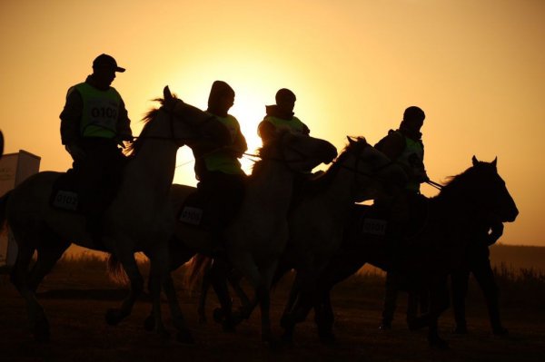 Мангистауские всадники стали лучшими на II этапе конного марафона