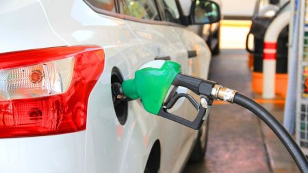 Вероятность повышения акциза на бензин на 14 тенге прокомментировали в Минэнерго