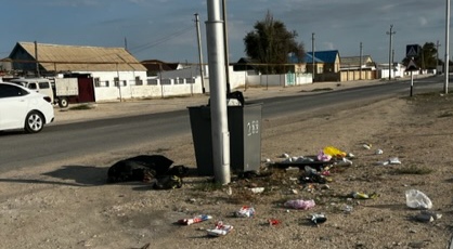 Проблема с мусором в Баутино: Что ответили чиновники