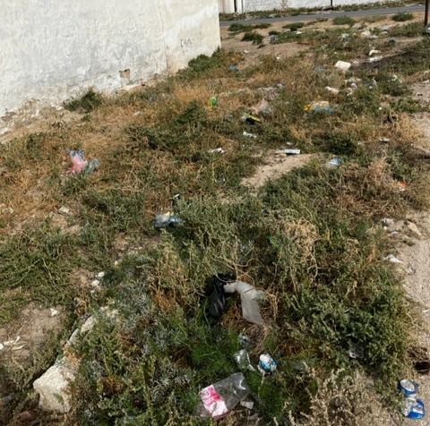Проблема с мусором в Баутино: Что ответили чиновники