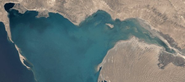 Обмеление Каспия: береговая линия в Туркменистане местами сдвинулась на 12 километров