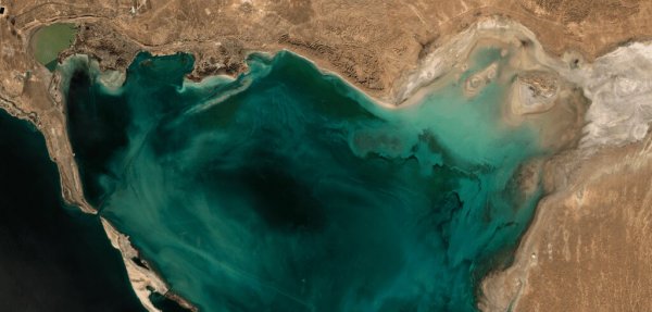 Обмеление Каспия: береговая линия в Туркменистане местами сдвинулась на 12 километров