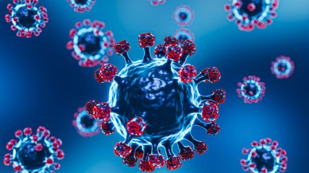 Новый штамм коронавируса "Эрис" выявлен в Казахстане 
