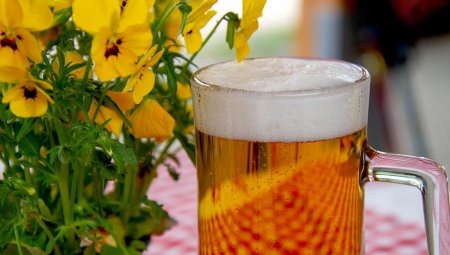 Казахстанское пиво оценили представители СМИ из 40 стран мира