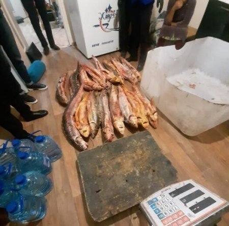 Полицейские в Мангистау изъяли более 100 килограммов осетровой рыбы