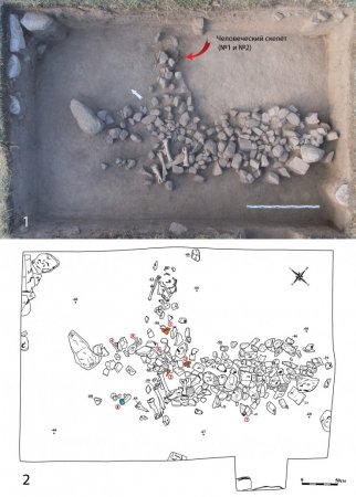 Обнаружены древнейшие в Казахстане человеческие захоронения