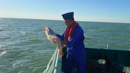 Почти на 2 млрд тенге предотвращен ущерб от браконьерства на Каспии в Мангистау