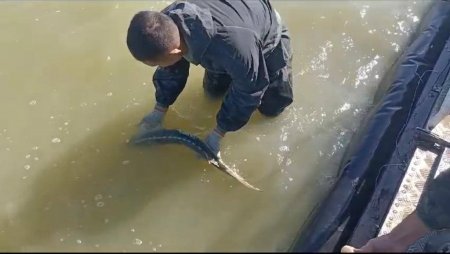 Почти на 2 млрд тенге предотвращен ущерб от браконьерства на Каспии в Мангистау