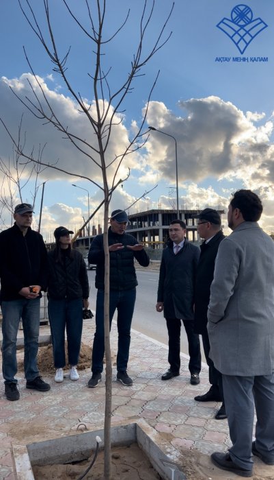 Активисты высадят в Актау 124 саженца ясеня