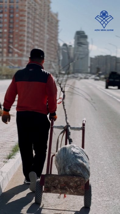 Активисты высадят в Актау 124 саженца ясеня