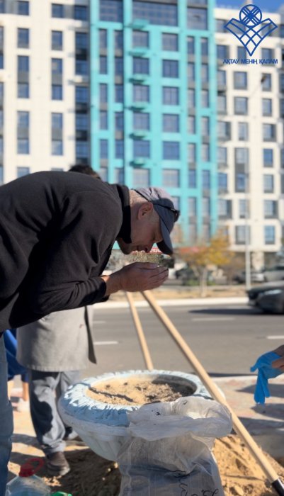 Активисты высадят в Актау 124 саженца ясеня