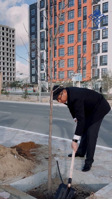 Активисты высадят в Актау 124 саженца ясеня