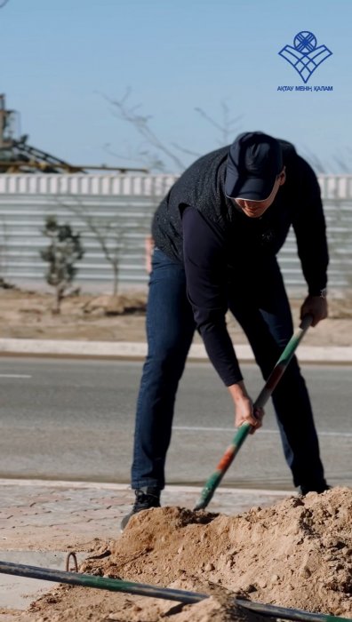 Активисты высадят в Актау 124 саженца ясеня