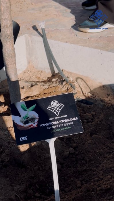 Активисты высадят в Актау 124 саженца ясеня