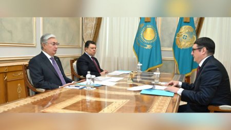 Токаев дал поручения министру энергетики по бензину и автогазу
