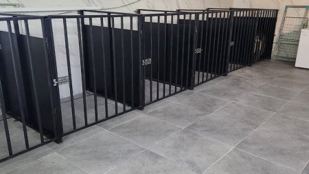 В Актау модернизировали Центр изучения и реабилитации каспийского тюленя