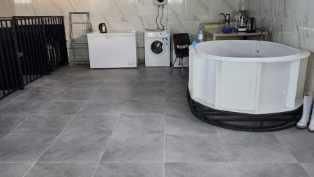 В Актау модернизировали Центр изучения и реабилитации каспийского тюленя