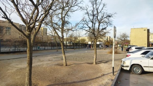 Против строительства магазина перед школой выступают жители Актау