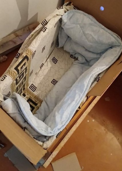 «Хостел для друзей»: как помогают замерзающим уличным животным в Актау