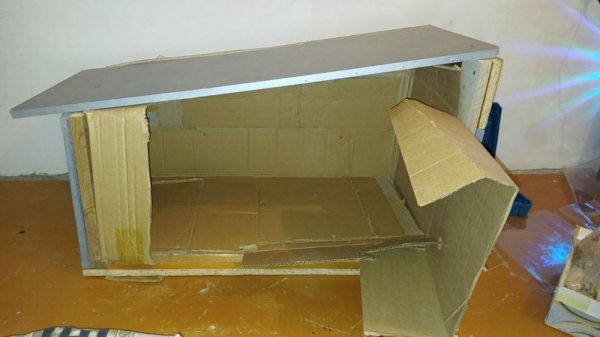 «Хостел для друзей»: как помогают замерзающим уличным животным в Актау