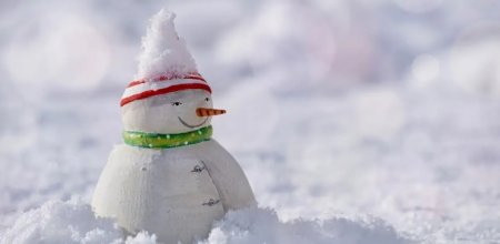 Жители Костанайской области хотят слепить 2024 снеговика и установить рекорд
