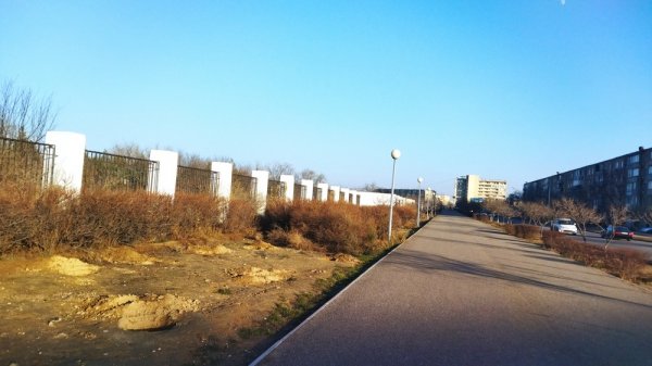 Что собрались сажать вдоль Ботанического сада в Актау