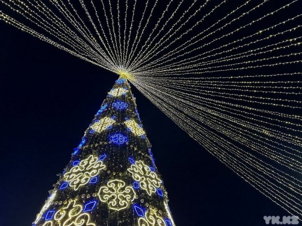 Елку зажгли в Актау: а как в других городах?