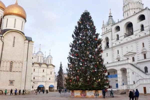 Елку зажгли в Актау: а как в других городах?