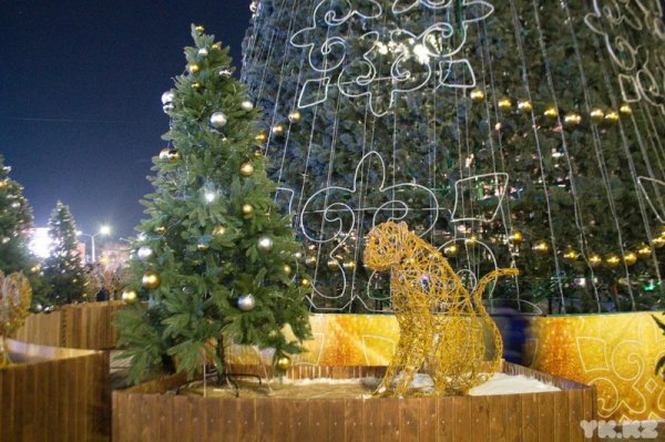 Елку зажгли в Актау: а как в других городах?
