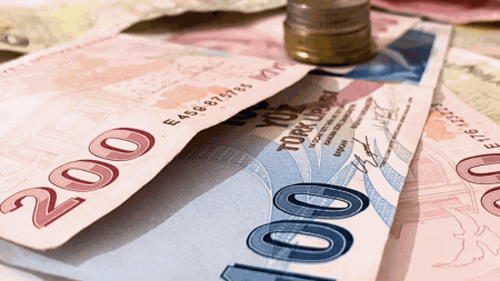 Турция решила повысить минимальную зарплату почти на 50 процентов