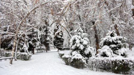 Теплый и снежный январь пообещали казахстанцам