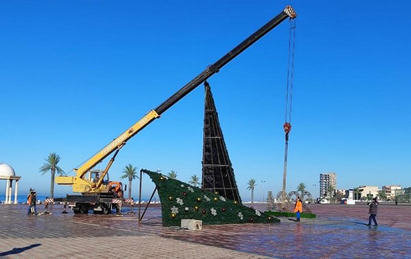 Унесённая ветром: ёлку восстановили в Актау