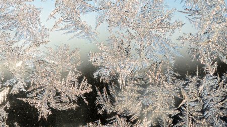 Морозы до 25 градусов идут в Казахстан 
