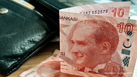 Турецкая лира обновила исторический минимум