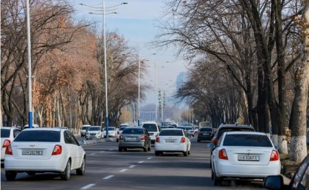 Оптимизировать автодвижение по четным и нечетным дням предлагают в Ташкенте