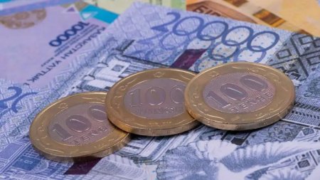 Новая спецвыплата в Казахстане: как и кому она выплачивается