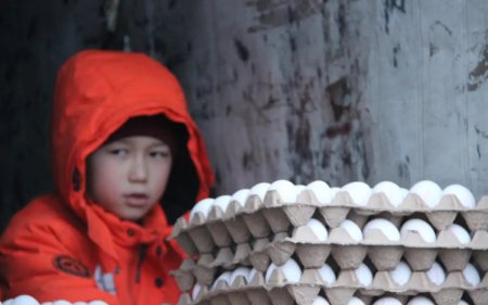 Дефицита яиц в Казахстане не предвидится - Минсельхоз