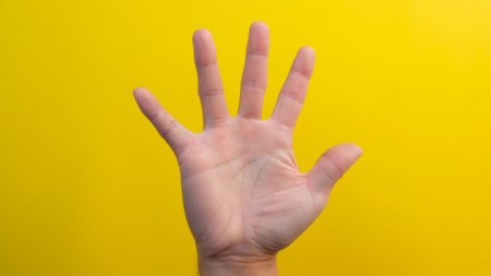 Ученые выяснили, что означает, когда безымянный палец длиннее указательного