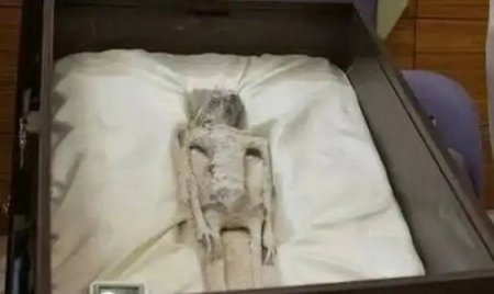 Ученые из Перу опубликовали отчет о "мумиях инопланетян"