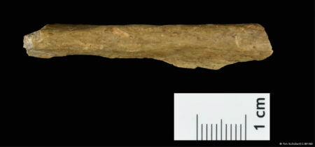 Сенсационную находку сделали ученые в пещере на востоке Германии