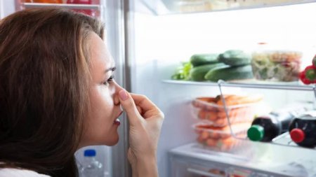 Назван легкий способ избавиться от неприятного запаха из холодильника